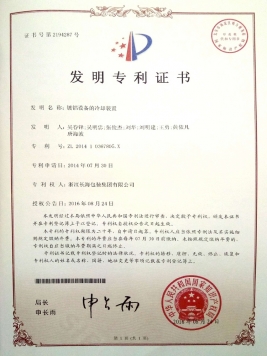 Patent